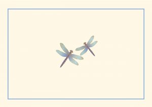 Peter Pauper Boxed Notes - Blue Dragonflies
