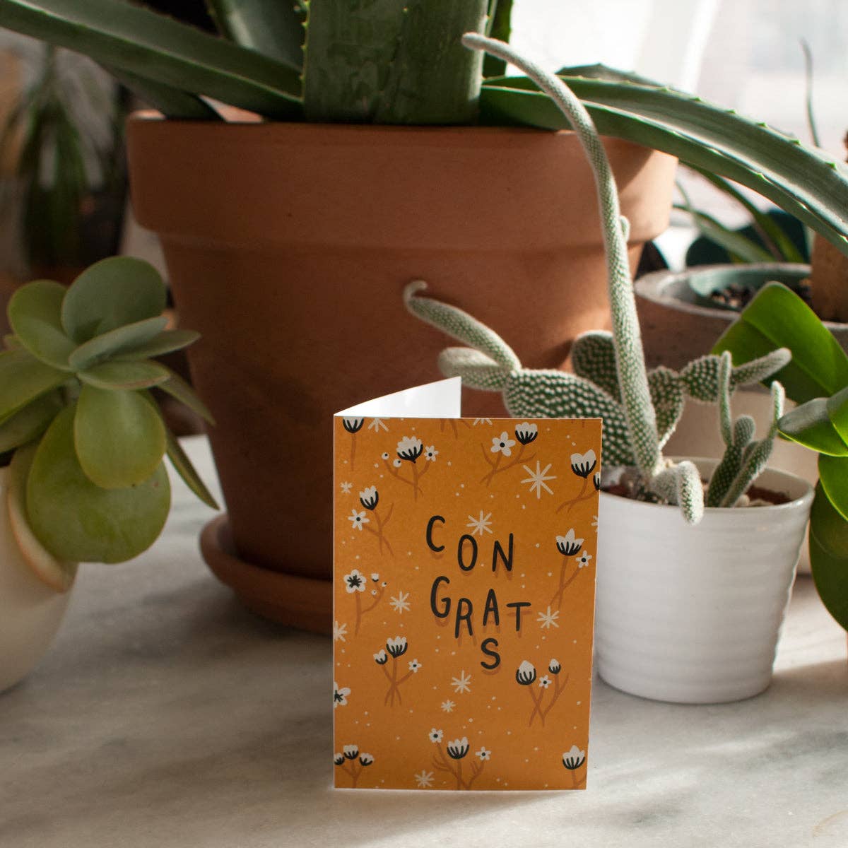 Greeting Card - Congrats – Duly Noted Stationery