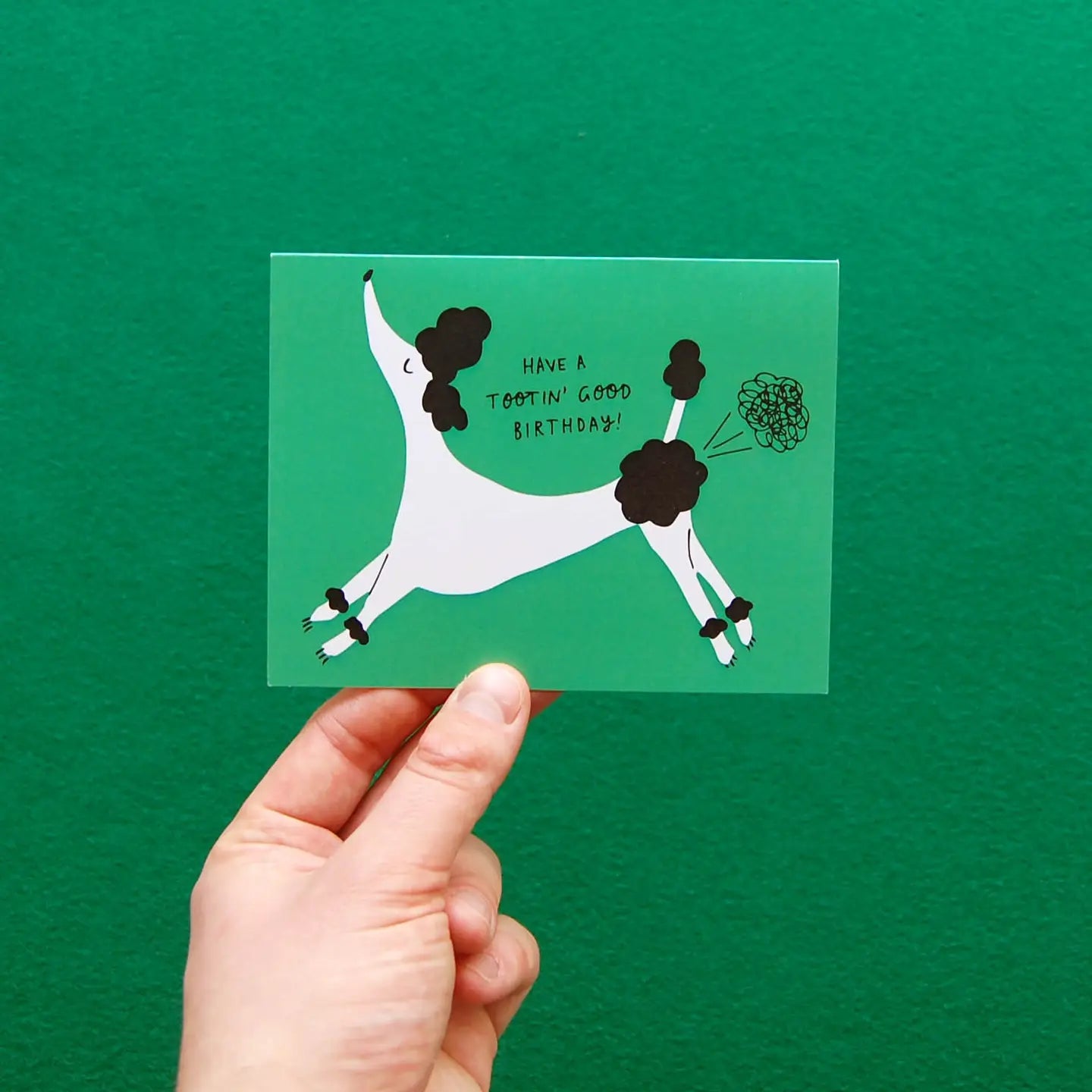 Badger & Burke Greeting Card - Birthday Toots
