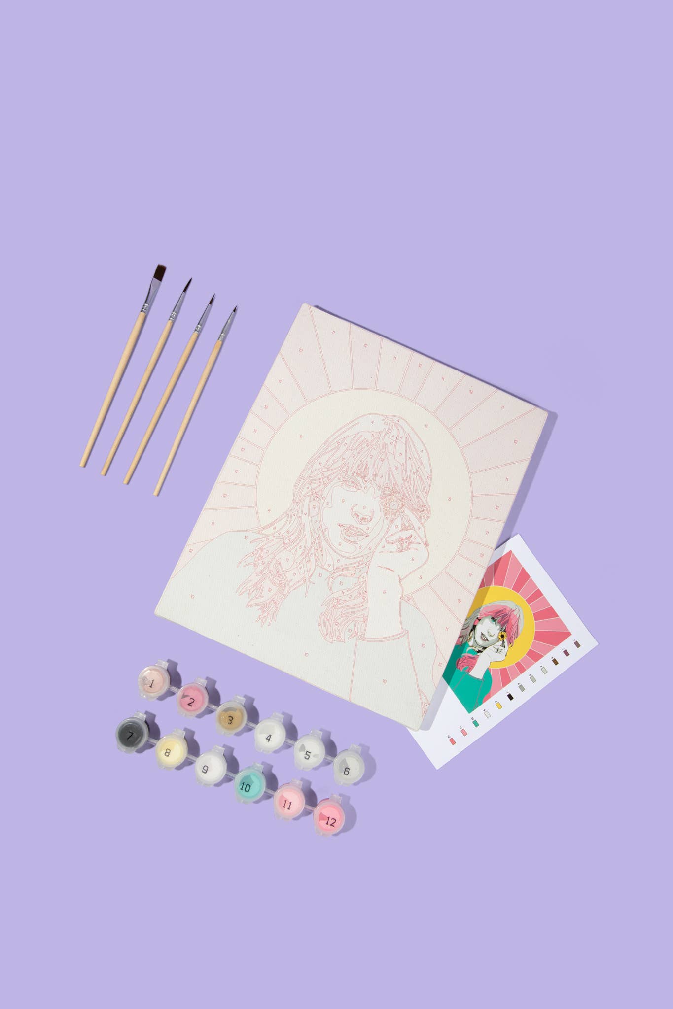 Taylor Swift Paint By Numbers Kit