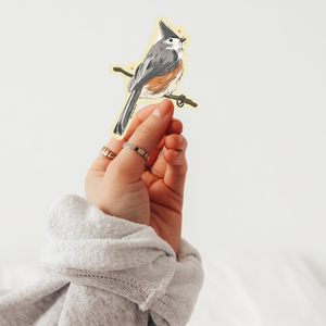 Sticker - Tufted Titmouse – Duly Noted Stationery