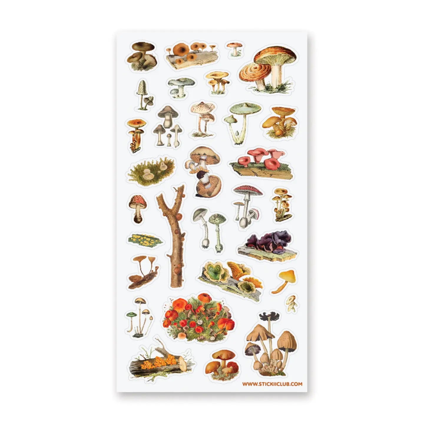 Sticker Sheet - World of Fungi