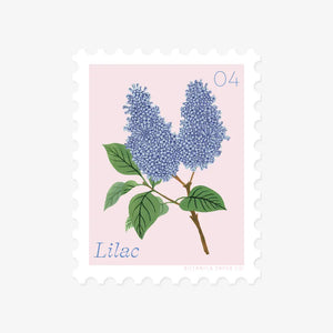 Sticker - Lilac
