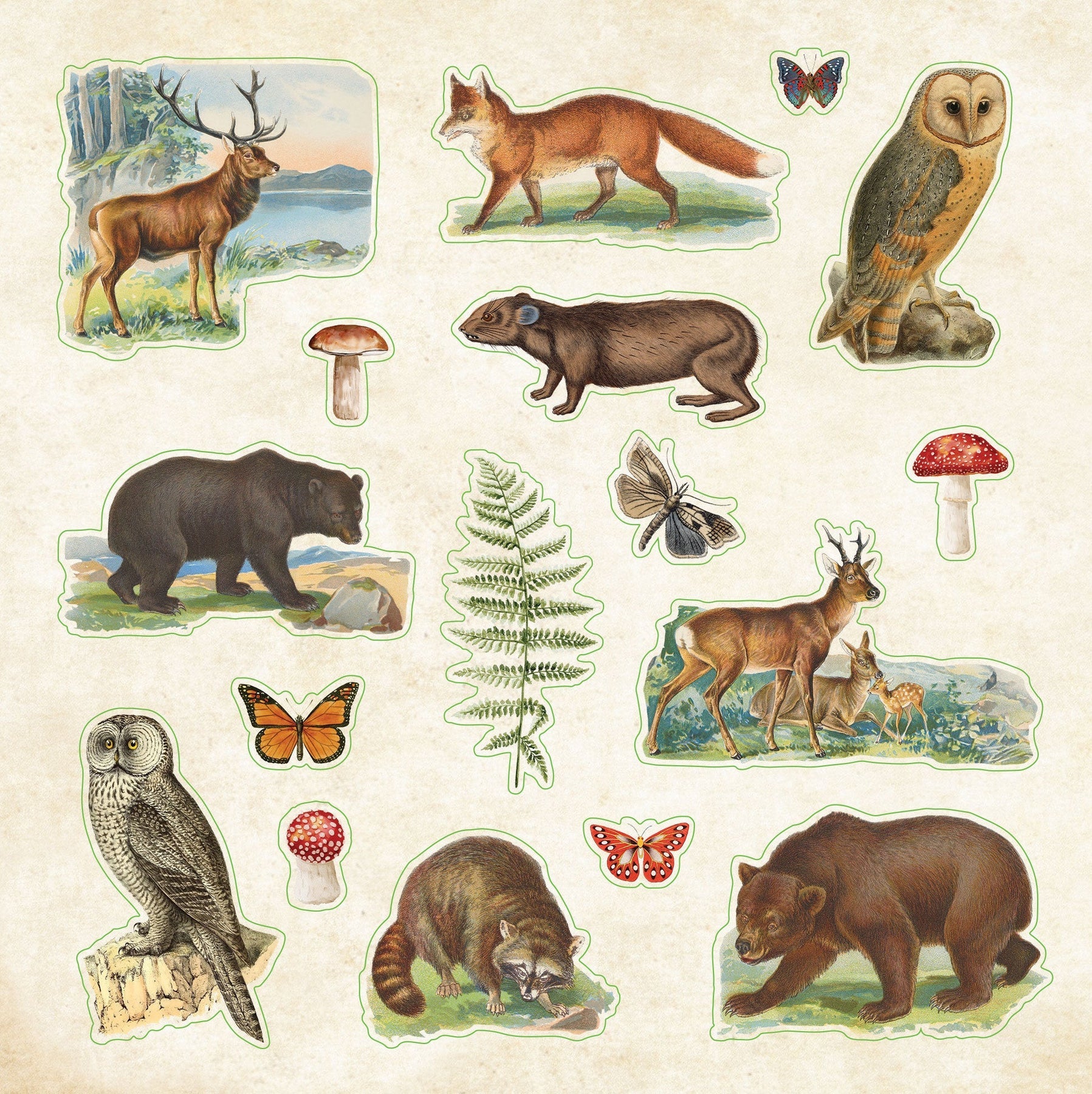 Sticker Book - Zoological Ephemera