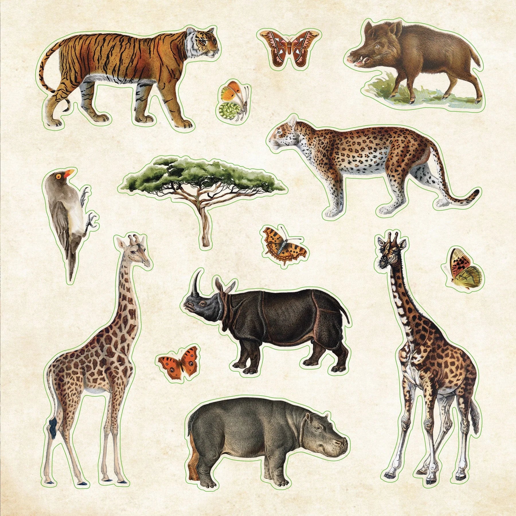 Sticker Book - Zoological Ephemera