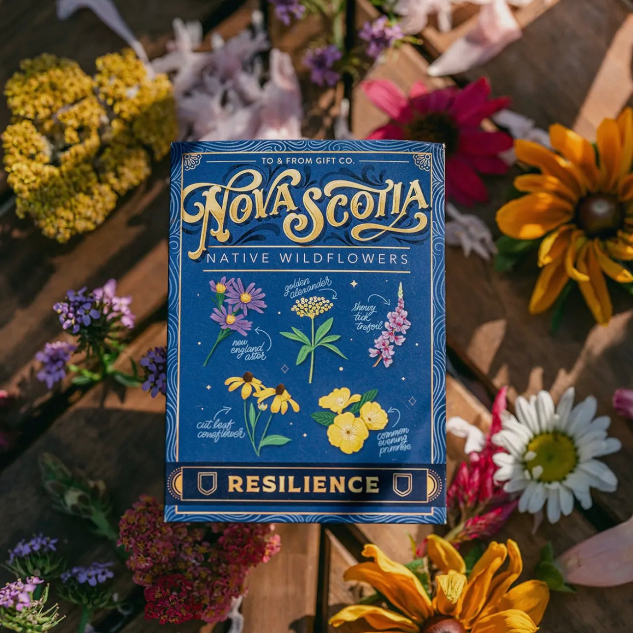 Seed Packet - Nova Scotia Native Wildflowers