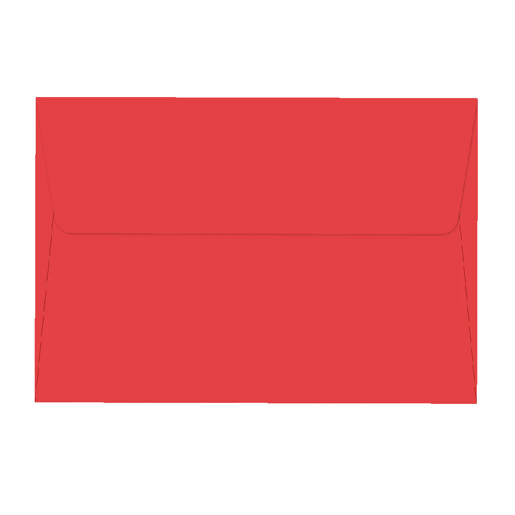 Peter Pauper Press Mini Boxed Notes - Festive Bough