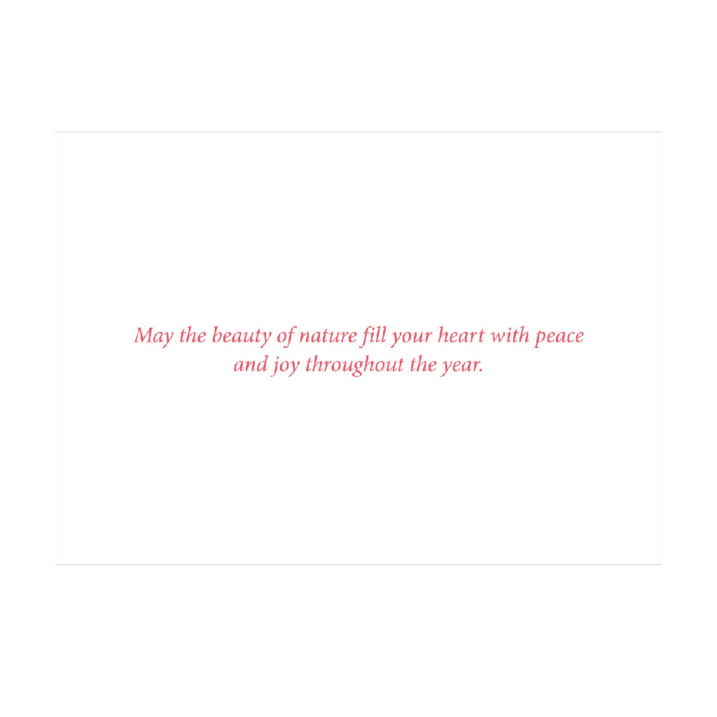 Peter Pauper Press Winter Wonderland Deluxe Boxed Holiday Cards