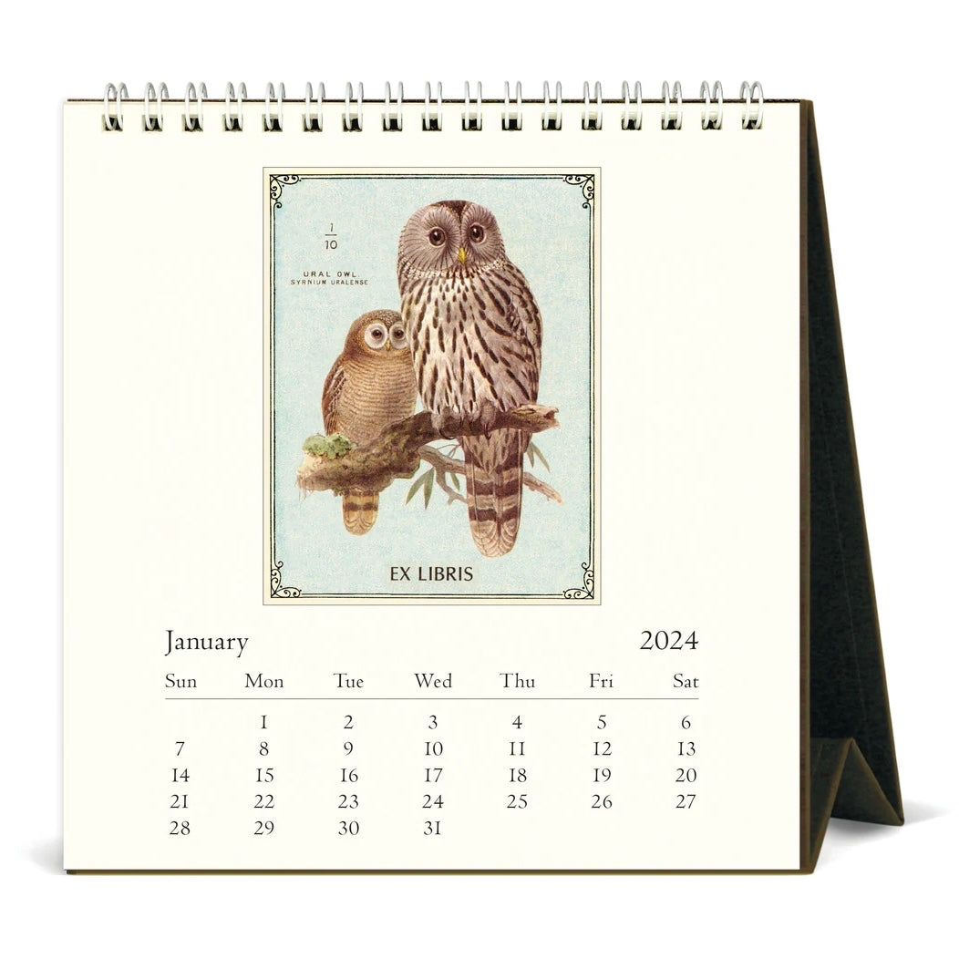Cavallini & Co. 2024 Desk Calendar- Owls