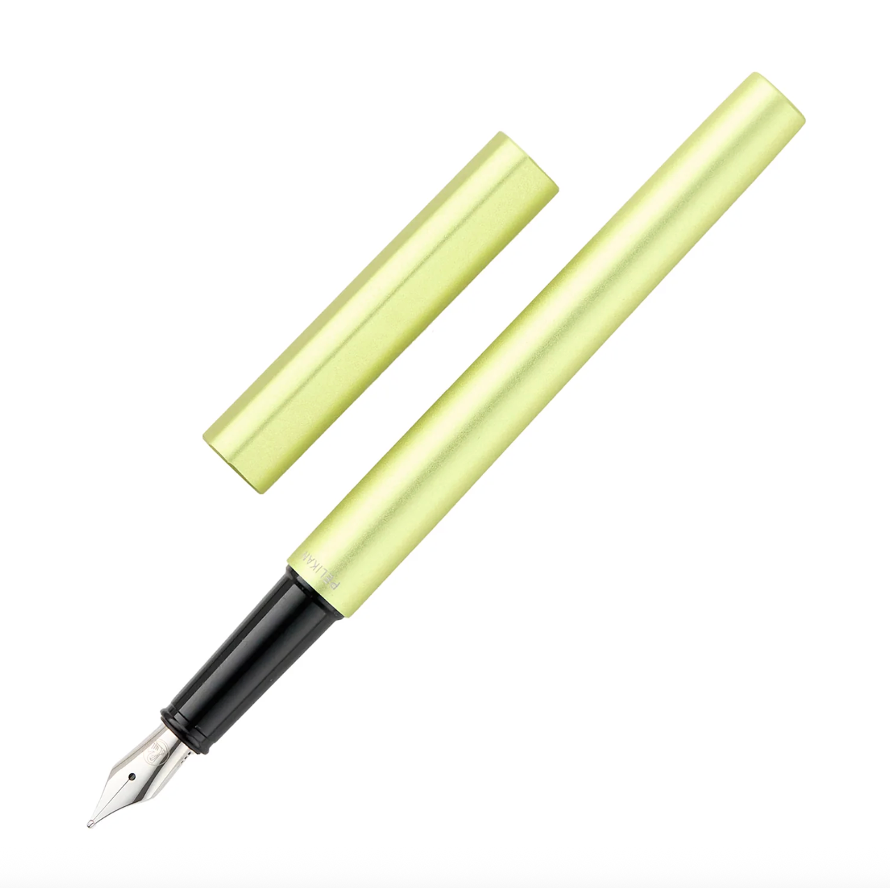 Pelikan Ineo Elements Fountain Pen - Green Oasis, Medium