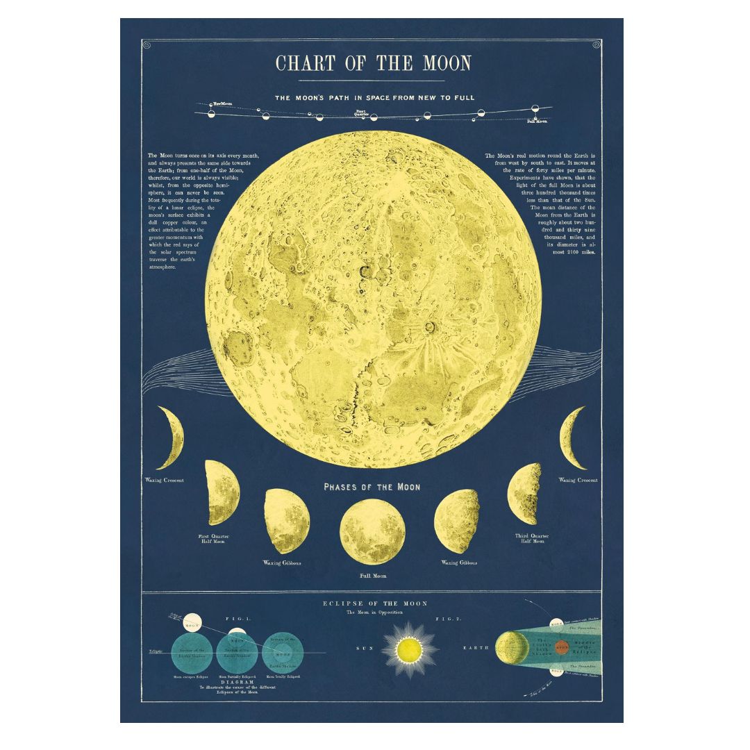 Cavallini & Co. Wrapping Sheet - Moon Chart