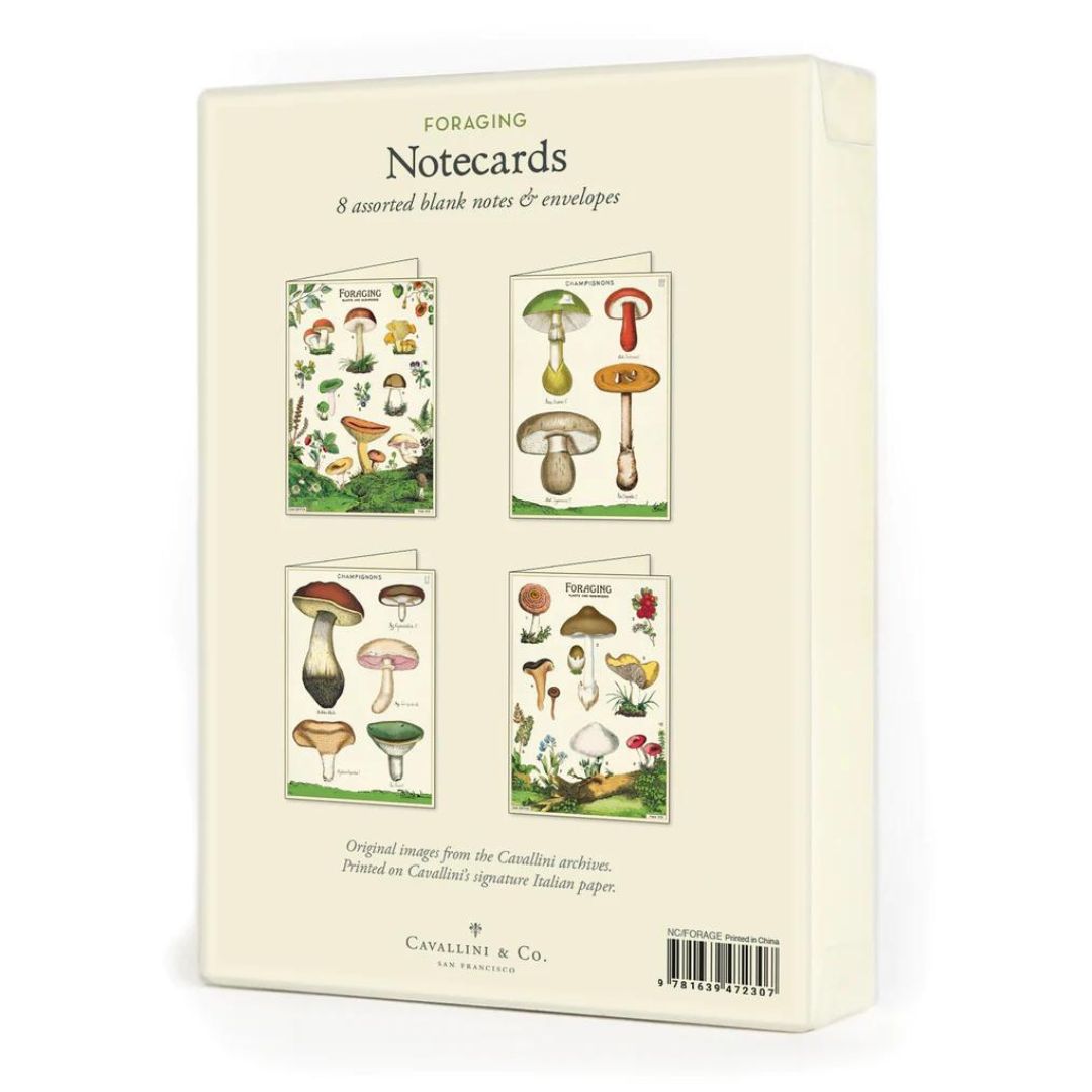 Cavallini & Co Boxed Notes - Foraging