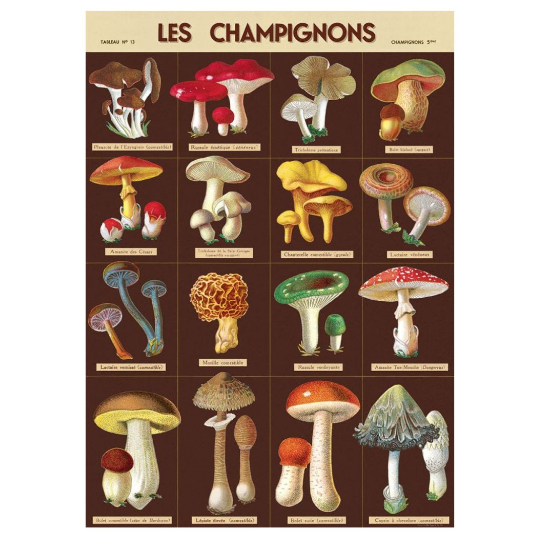Cavallini & Co. Wrapping Sheet - Les Champignons