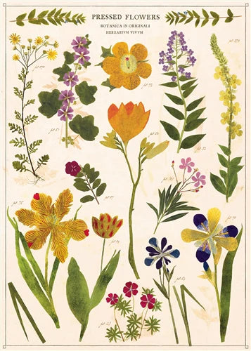 Cavallini & Co. Wrapping Sheet - Pressed Flowers
