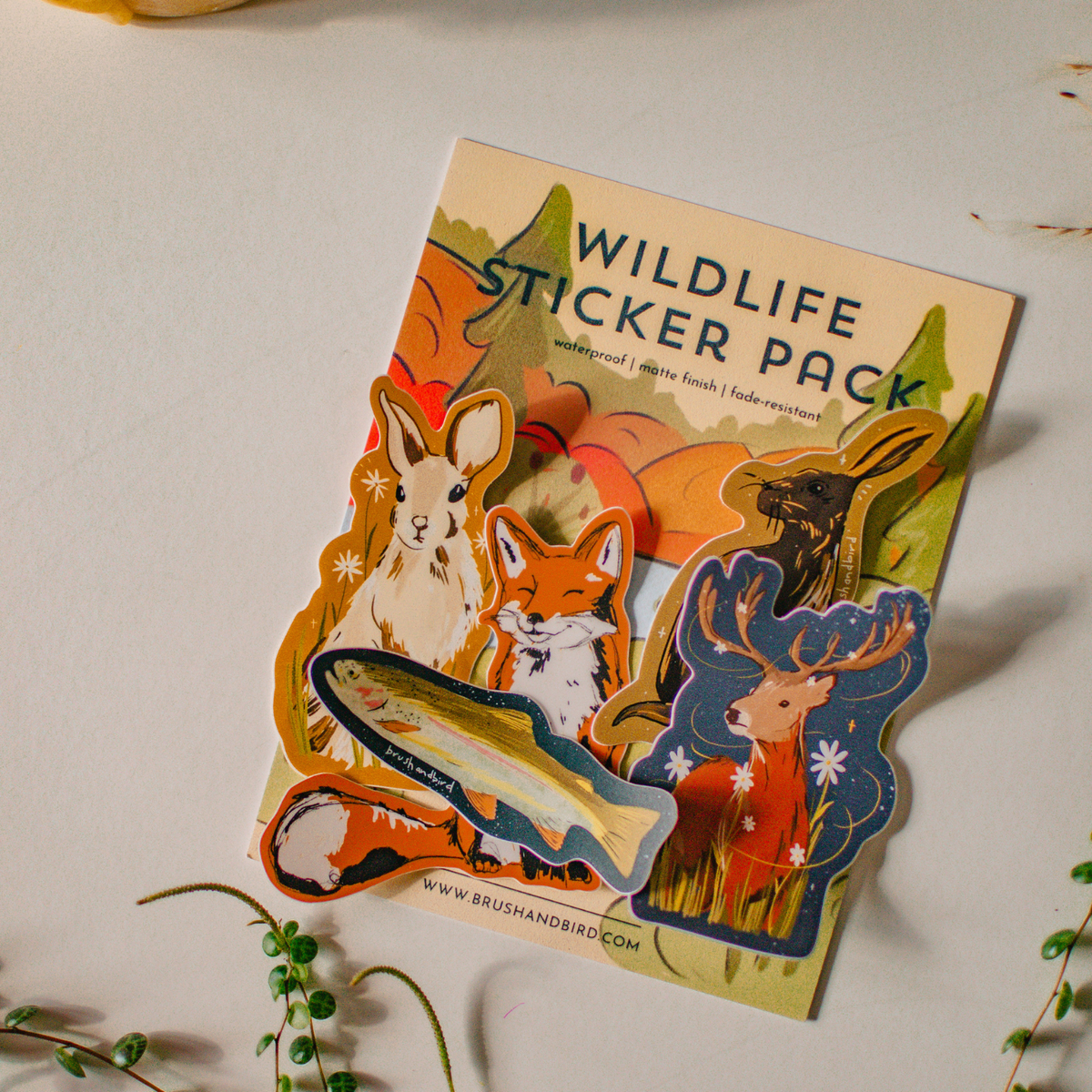 Sticker Pack - Wildlife – Duly Noted Stationery
