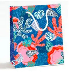 Gift Bag Medium - Funky Coral