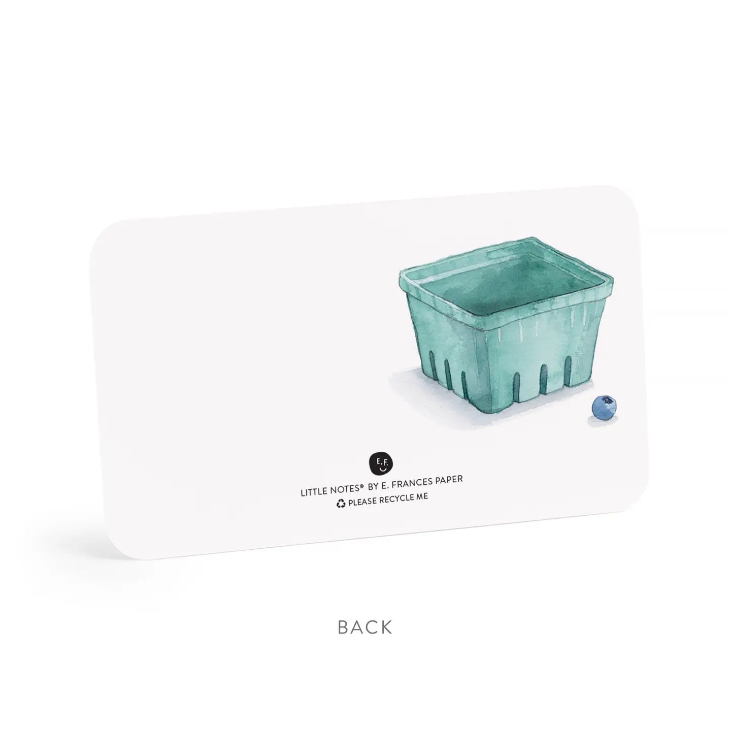 E Frances Boxed Little Notes - Blueberries