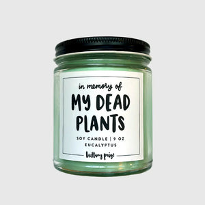 Candle - In Memory Of Dead Plants