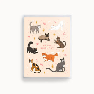 Linden Paper Co Boxed Notes - Cat Birthday