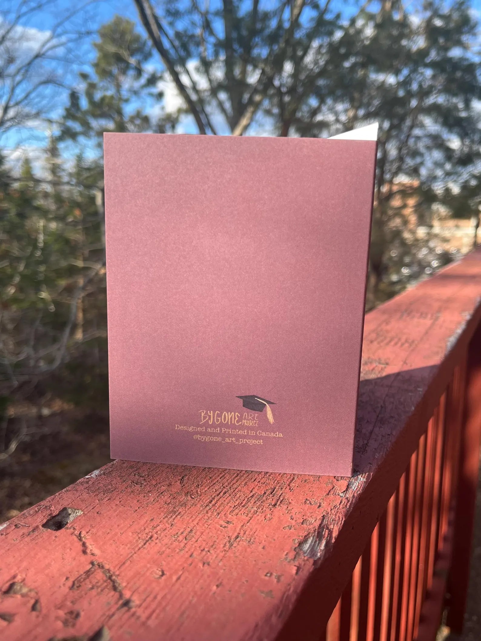 Bygone Art Project Greeting Card - Graduation Goose