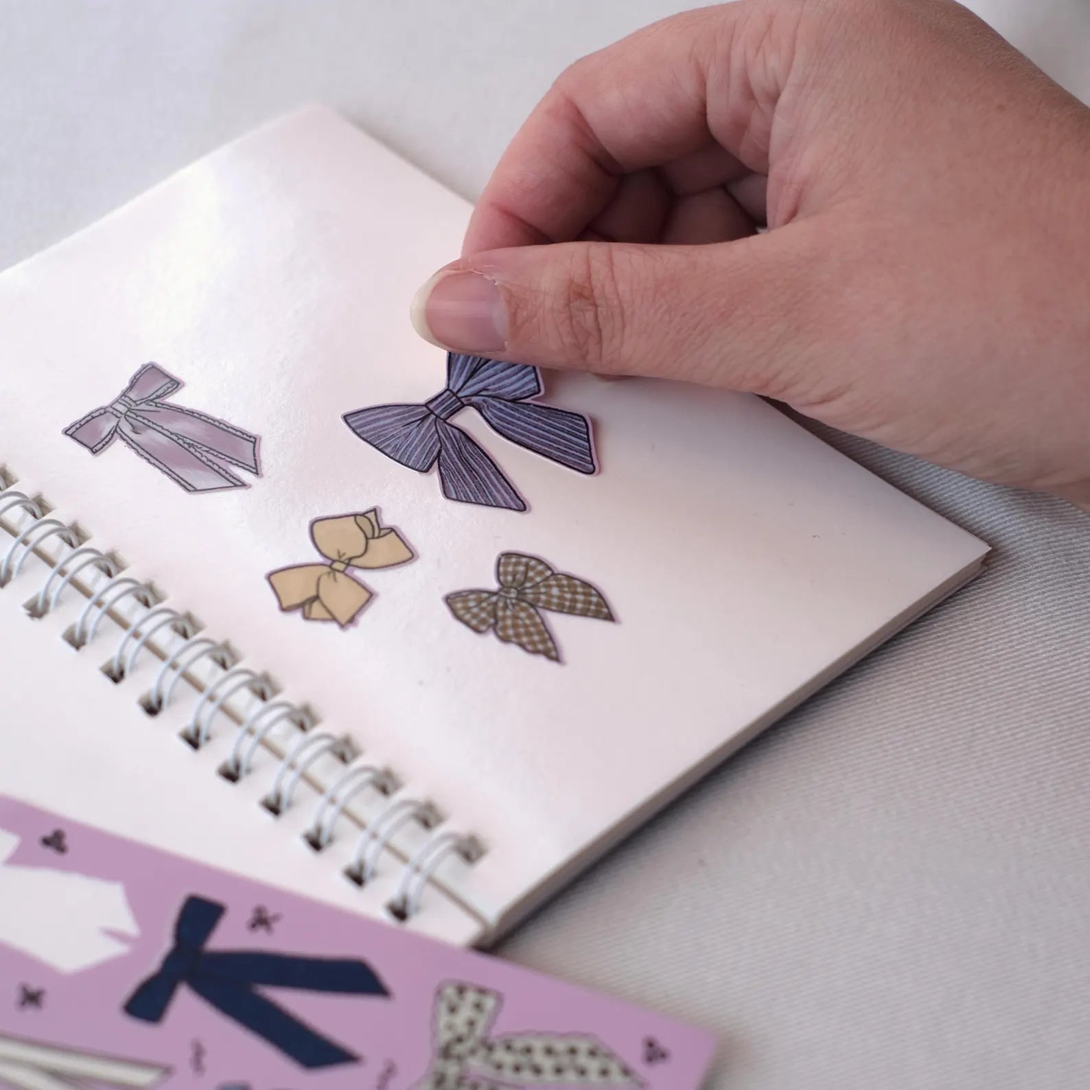 Reusable Sticker Book