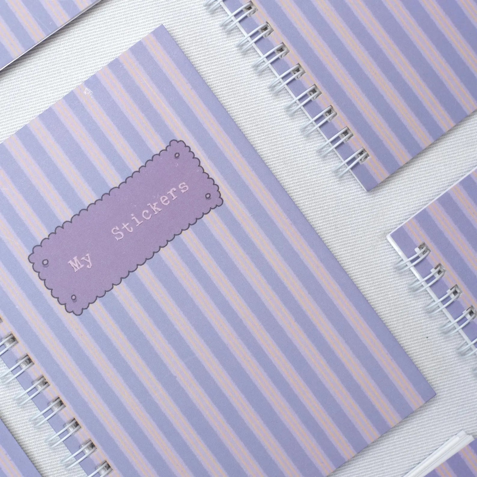 Reusable Sticker Book