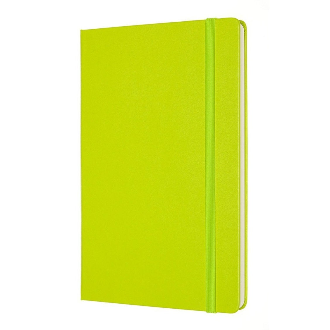 Moleskine Notebook Classic Large Light Green Hard Cover - Lined