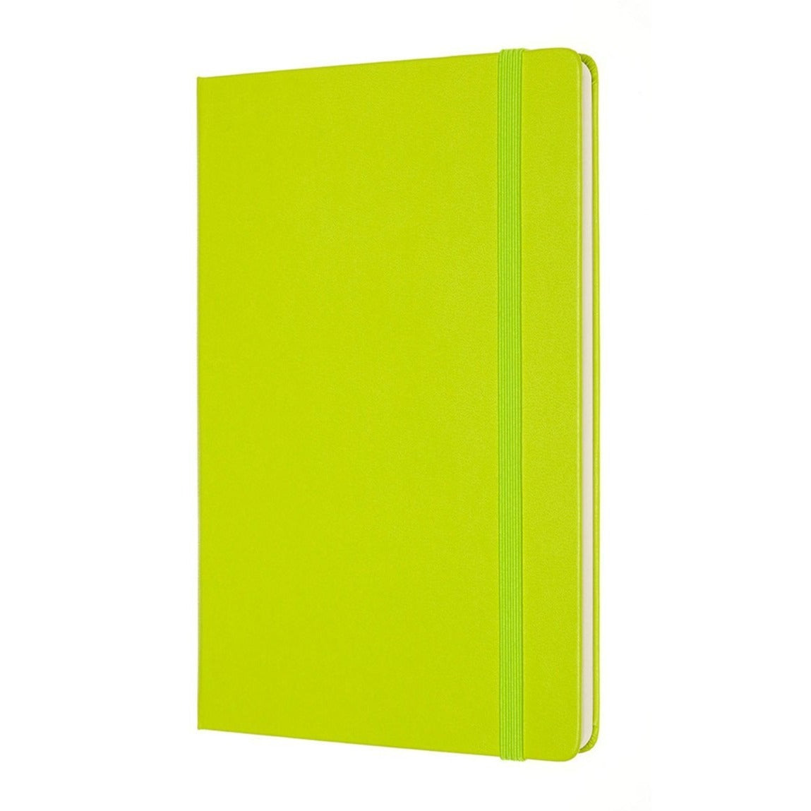 Moleskine Notebook Classic Large Light Green Soft Cover - Plain