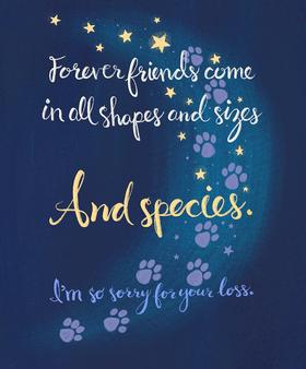 Meaghan Smith Creative - Greeting Card - Pet Sympathy