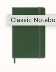 Moleskine Notebook Classic Extra Large Myrtle Green Hard Cover - Ruled