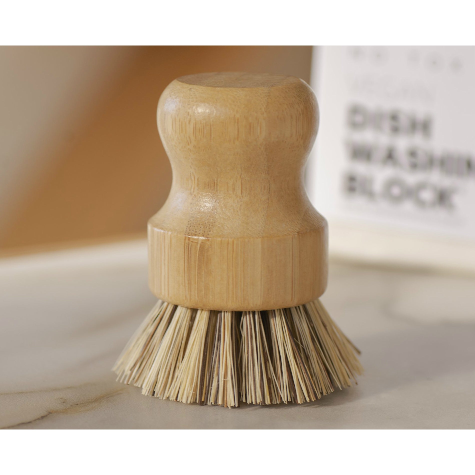 No Tox Life - Casa Agave Pot Scrubber