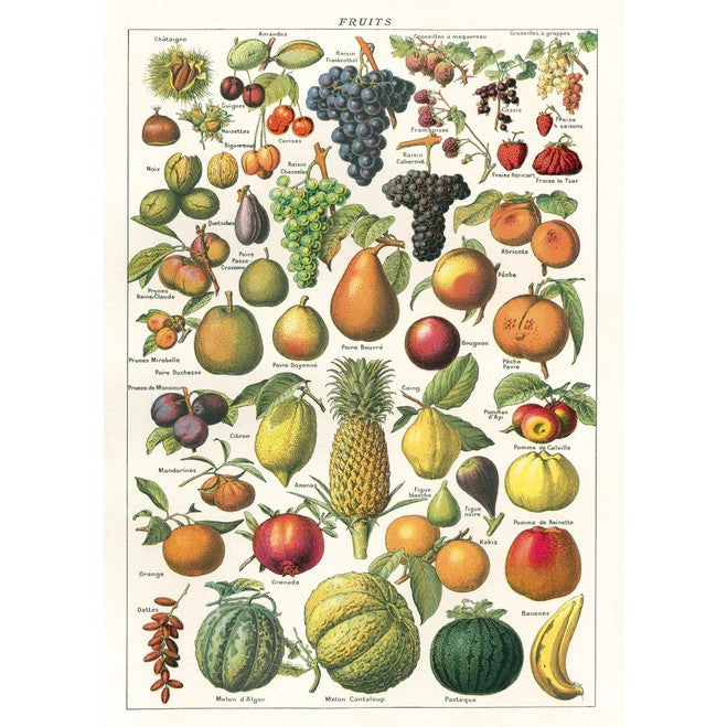 Cavallini & Co. Wrapping Sheet - Fruit Chart