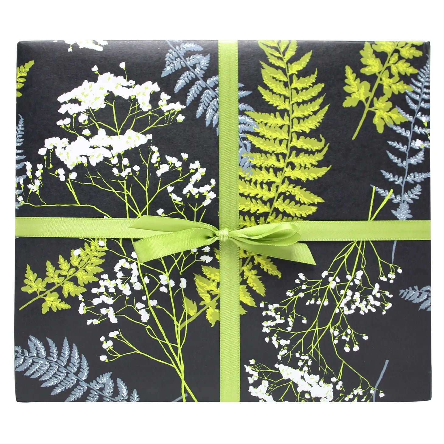 Smudge Ink Wrapping Sheet - Ferns