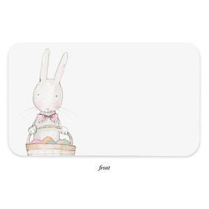 E Frances Boxed Little Notes - Easter Rabbit