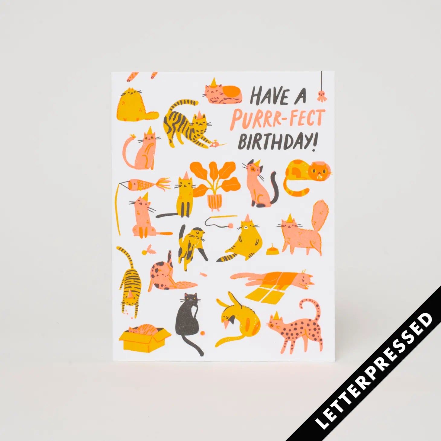 Egg Press Greeting Card - Purr-fect Birthday