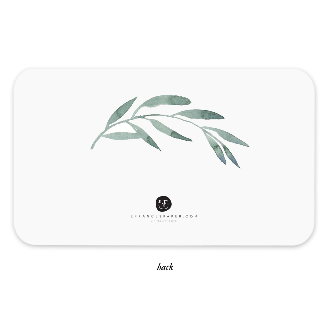 E Frances Boxed Little Notes - Olive Branch