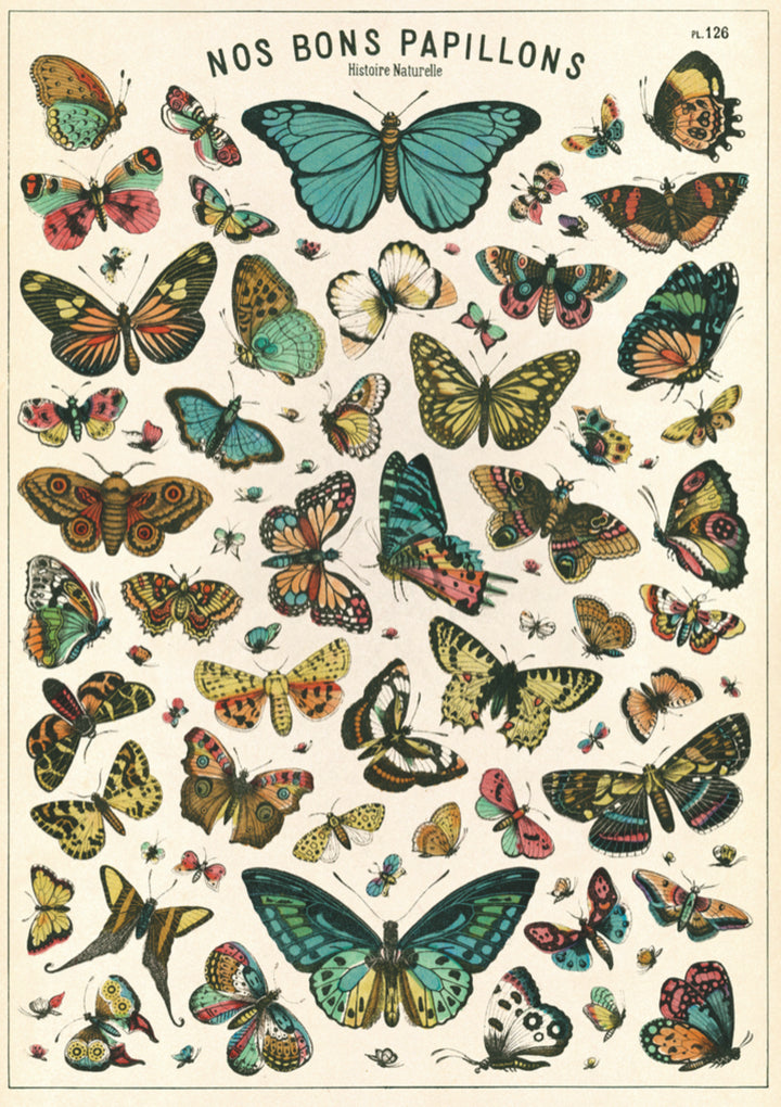 Cavallini & Co. Wrapping Sheet - Butterflies