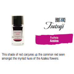 Pilot Iroshizuku Bottle Ink 15ml Tsutsuji – Duly Noted Stationery