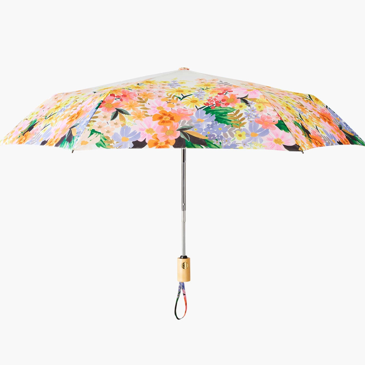 Umbrella Marguerite Fields